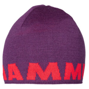 Mammut - Čepice Mammut Logo Beanie (1191-04891)
