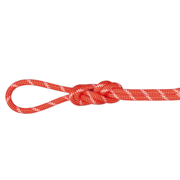 Mammut - Lano 8.0 Alpine Classic Rope – obrázek 2